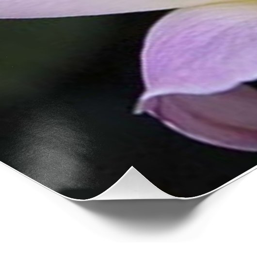 20x20ポスター ポスター (コーナー)