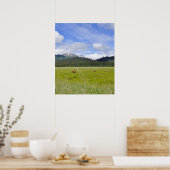 20x24グリズリーベアのポスター紙（マット） ポスター (キッチン)