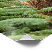 20x25グリズリーベアのポスター（光沢のある仕上げ） ポスター (コーナー)