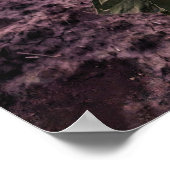 20x30ウォールポスター ポスター (角)