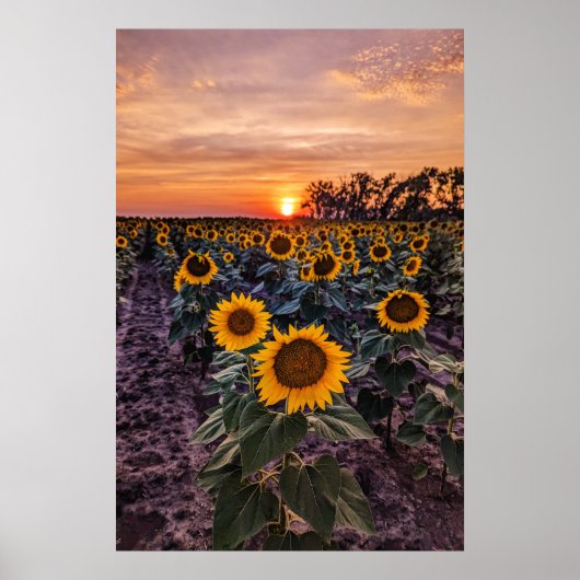 20x30ウォールポスター ポスター (正面)