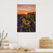 20x30ウォールポスター ポスター (キッチン)