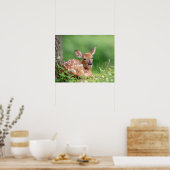 20x6愛らしい子鹿が木の下に横たわる ポスター (キッチン)