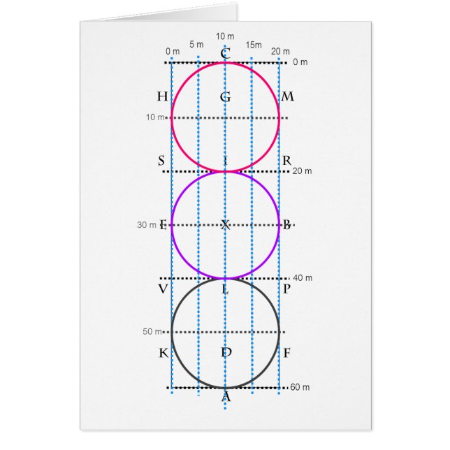 20x60mの馬場馬術裁判所**円** (正面)