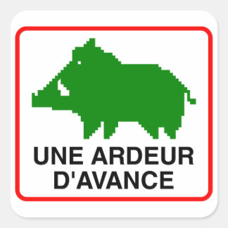 20x Small Sticker - UNE ARDEUR D'AVANCE スクエアシール