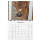 20XX月刊牛壁カレンダー牛の飼い主 カレンダー (2月 2027)