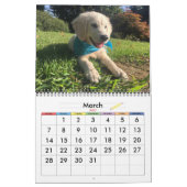 20xx 犬カレンダー カレンダー (3月 2027)