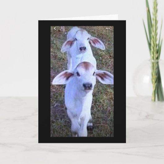 21は何か気になる話だ カード (正面)