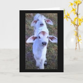 21は何か気になる話だ カード (黄色い花)