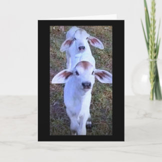 21は何か気になる話だ カード