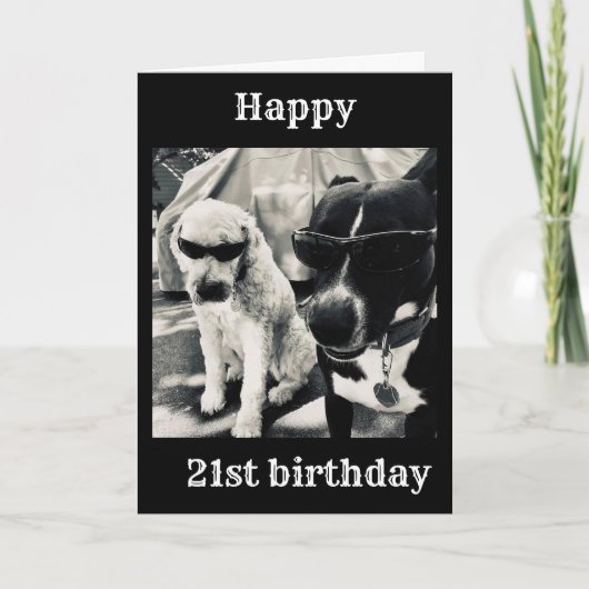 **21歳の誕生日は今まクールで1枚のカード カード (正面)