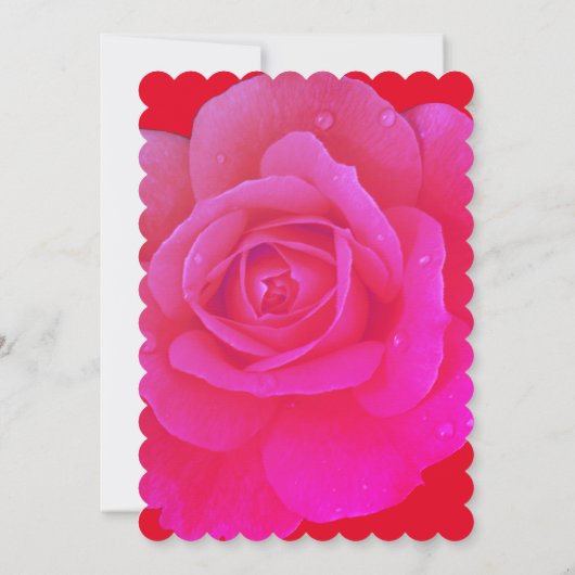 21歳の誕生日オレンジピンクローズフローラエレガントかわいい 招待状 (裏面)