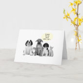 21歳の誕生日グループグリーティングドギースタイル カード (黄色い花)