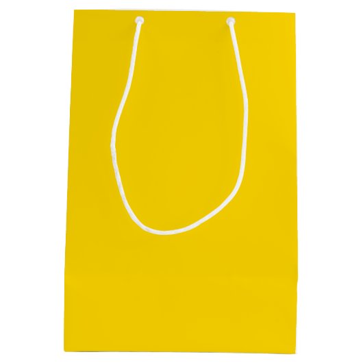 21歳の誕生日パーティーまたはカスタマイズ年齢 ミディアムペーパーバッグ (裏面)