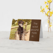 **21歳の誕生日**「あなたの青春の終わり」 カード (黄色い花)