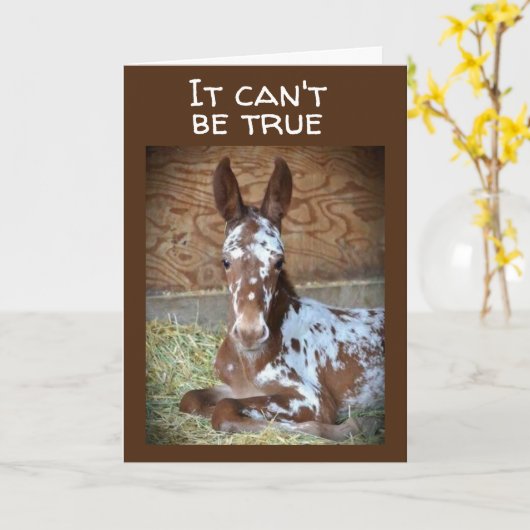 **21歳の誕生日**お笑いの馬のカードからのお願い カード (黄色い花)