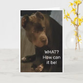 *21歳の誕生日*このリザードカークールドより カード (黄色い花)