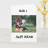 *21歳の誕生日*犬が全てを聞いた カード (黄色い花)