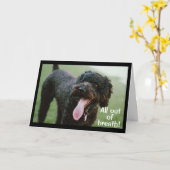 **21歳祝の誕生日** カード (黄色い花)