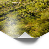 2105-2-Arizona砂漠の風景（星あり） フォトプリント (角)