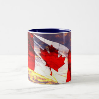 211435558_1ddb32a17c_o ツートーンマグカップ