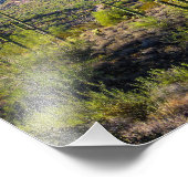 2124-2-Arizonaサボテンと夕暮れ時の砂漠 フォトプリント (角)