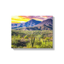 2124-2-Arizona Desert at Sunset