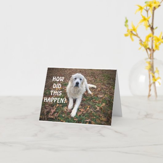 *21* 「自分のI.D」を使用できる。 カード (黄色い花)