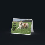 *21* 「自分のI.D」を使用できる。 カード<br><div class="desc">八つ感謝していのストップ店の一つで！</div>