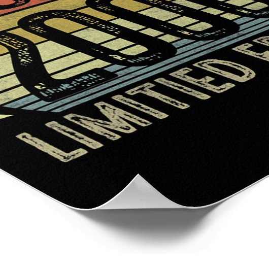 22歳ギフト2000年6月限定版22日 ポスター (角)