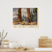 224.大きな木々の茂みでの見張り番 ポスター (キッチン)