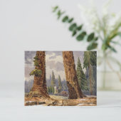 224.大きな木々の茂みでの見張り番 ポストカード (スタンド正面)