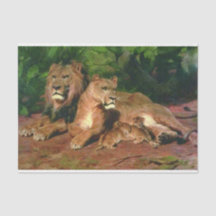 22.ライオンが家に（ライオンとライオンの仔を持つ）