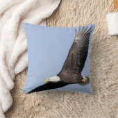 #22-白頭鷲肉食鳥 クッション (ブランケット)