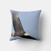 #22-白頭鷲肉食鳥 クッション (裏面)