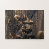 2318 – メスのマラルドアヒルの池パズル ジグソーパズル (横)