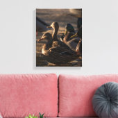 2318 – 女性マラルドアヒル キャンバスプリント (インサイチュ (リビング))