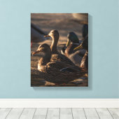 2318 – 女性マラルドアヒル キャンバスプリント (インサイチュ (ウッドフロア))