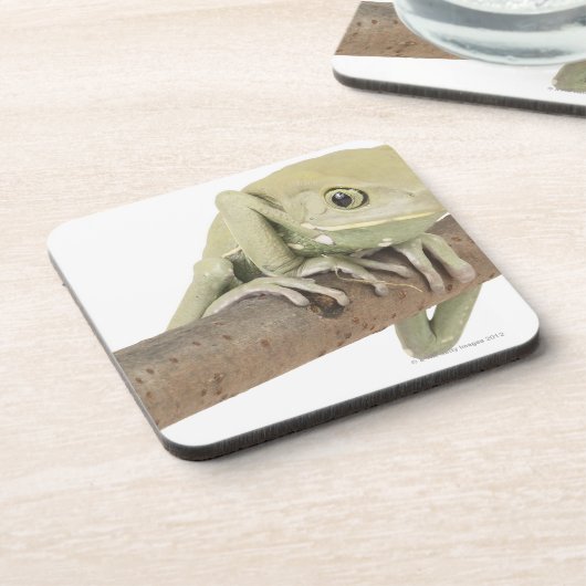 23568119 コースター (左側)