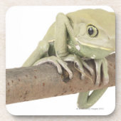 23568119 コースター (正面)