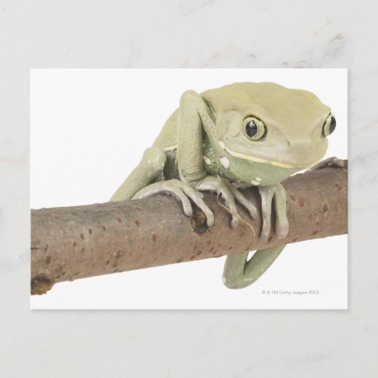 23568119 ポストカード (正面)