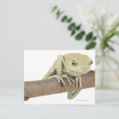 23568119 ポストカード (スタンド正面)