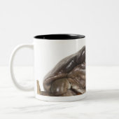 23568138 ツートーンマグカップ (左)