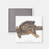 23568138 マグネット (正面/裏面)