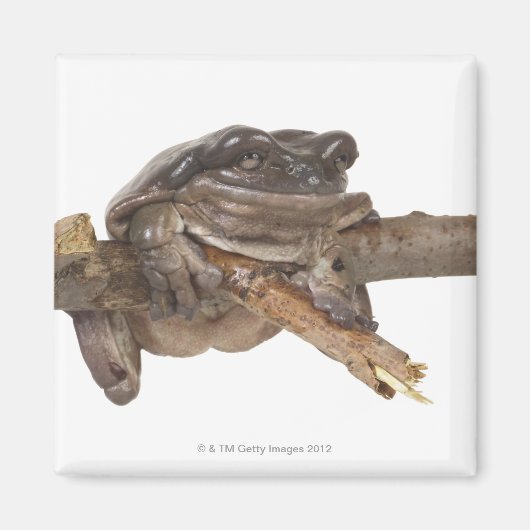 23568138 マグネット (正面)