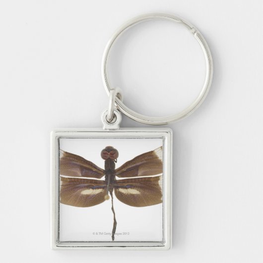 23599152 キーホルダー (正面)