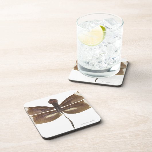 23599152 コースター (右側)