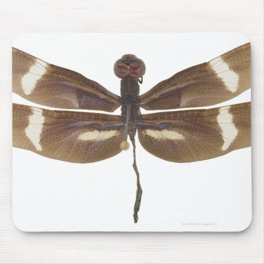 23599152 マウスパッド (正面)