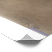 23650509 ポスター (角)