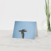 2367 カード (正面)